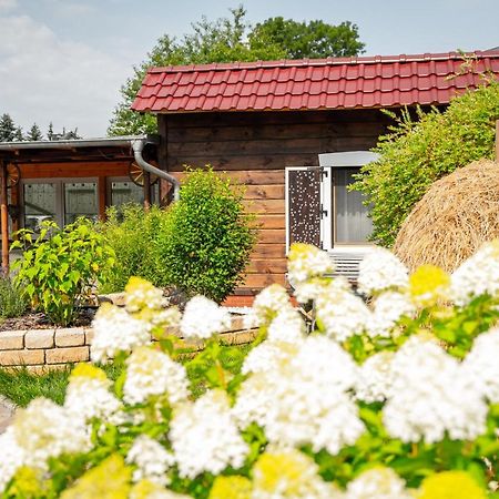 Spreewald Pension Tannenwinkel Люббенау Экстерьер фото