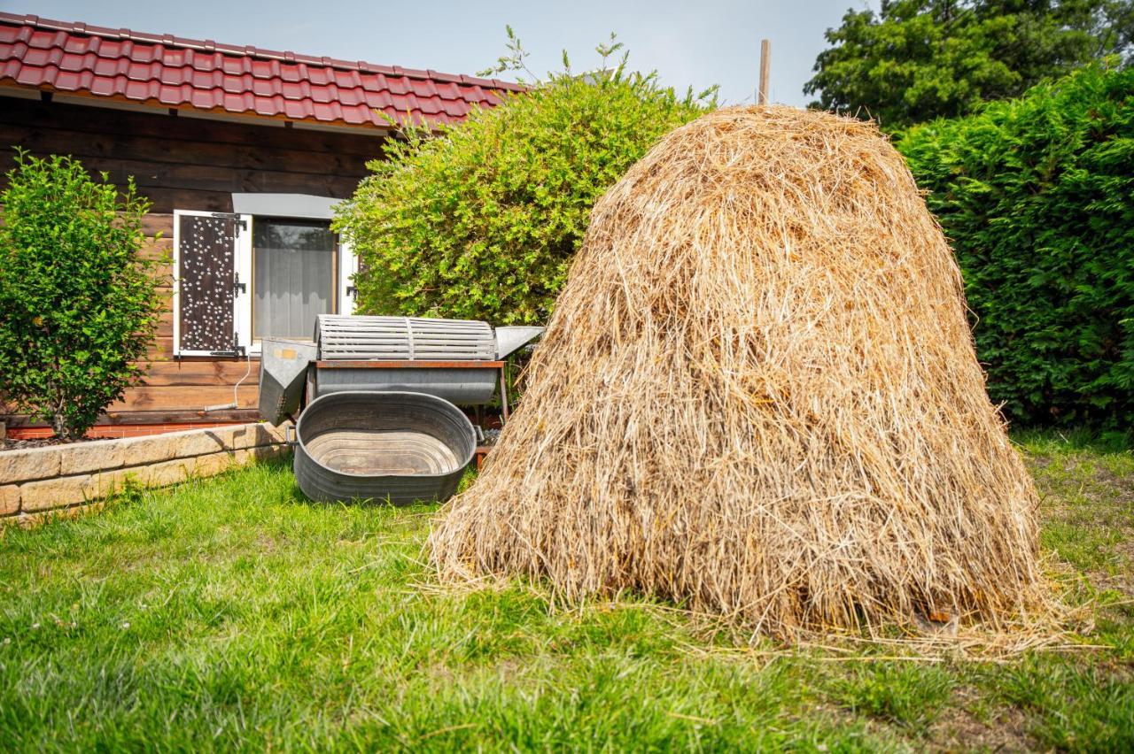 Spreewald Pension Tannenwinkel Люббенау Экстерьер фото