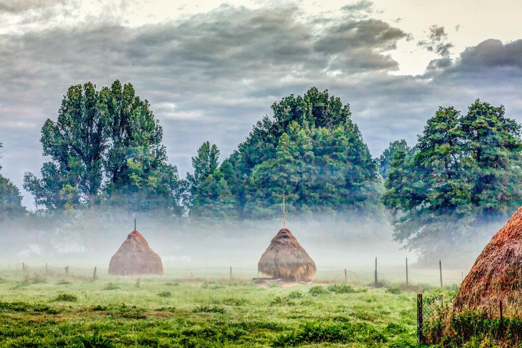 Spreewald Pension Tannenwinkel Люббенау Экстерьер фото