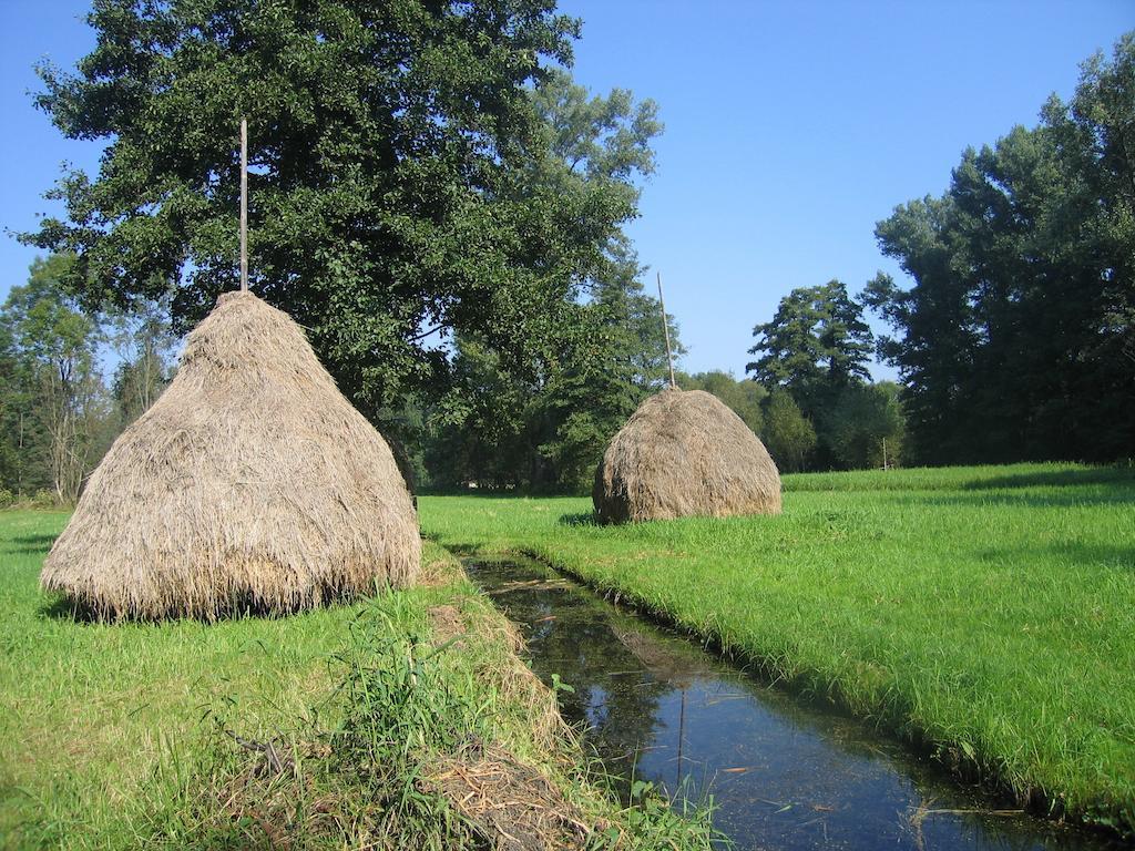 Spreewald Pension Tannenwinkel Люббенау Экстерьер фото